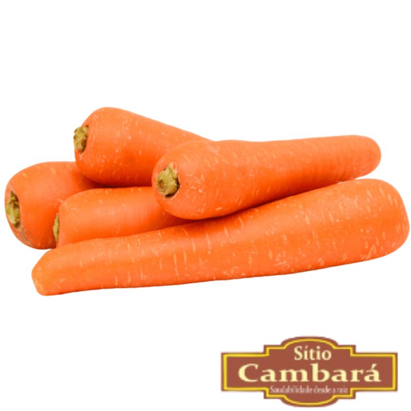 Cenoura Orgânica Sítio Cambara 500g